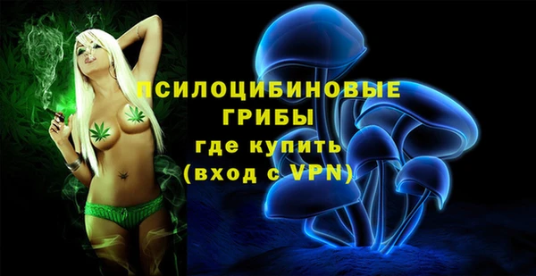 героин Инта