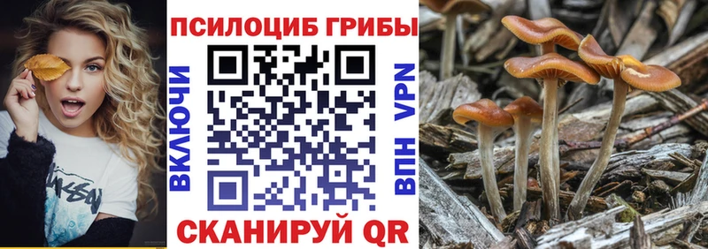 Купить закладки  Лосино-Петровский  Псилоцибиновые грибы Psilocybine cubensis 